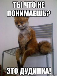 ты что не понимаешь? это дудинка!