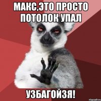 макс,это просто потолок упал узбагойзя!