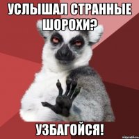 услышал странные шорохи? узбагойся!