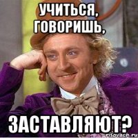 учиться, говоришь, заставляют?