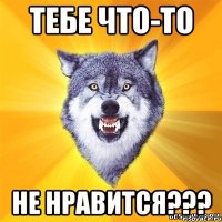 тебе что-то не нравится???