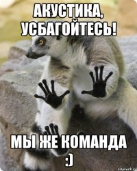 акустика, усбагойтесь! мы же команда :)