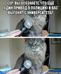 сер, вы осознаёте, что ещё один привод в полицию и вас выгонят с университета? 