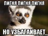 пигня пигня пигня но узбагаивает