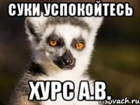 суки успокойтесь хурс а.в.