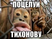 поцелуй тихонову