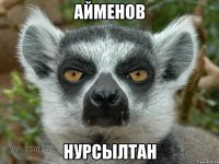 айменов нурсылтан