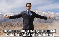  то чувство, когда ты единственный из своего класса написал к/р на 5