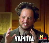  yapital