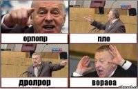 орпопр пло дролрор вораоа