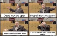 Одна ночью орет Второй ночью храпит Рядом третий перегаром дышит А я!!!??? А я сова,хули! Они ее спят ночью!