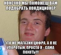 конечно мы поможеш вам подобрать кондиционер это же магазин цифра. а я не упоротый, просто я - сама похоть!!!