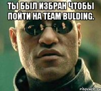 ты был избран чтобы пойти на team bulding. 