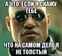 а что, если я скажу тебе что на самом деле я не толстый