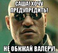 саша! хочу предупредить! не обижай валеру!