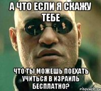 а что если я скажу тебе что ты можешь поехать учиться в израиль бесплатно?