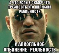 а что если я скажу что трезвость это иллюзия реальности а алкогльное опьянение - реальность