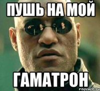 пушь на мой гаматрон