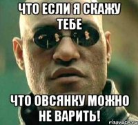 что если я скажу тебе что овсянку можно не варить!