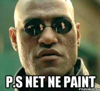  p.s net ne paint