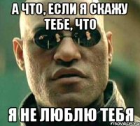 а что, если я скажу тебе, что я не люблю тебя