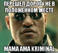 перешел дорогу не в положенном месте mama ama kriminal