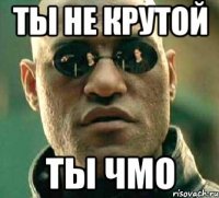 ты не крутой ты чмо