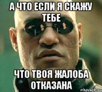 а что если я скажу тебе что твоя жалоба отказана