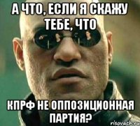 а что, если я скажу тебе, что кпрф не оппозиционная партия?