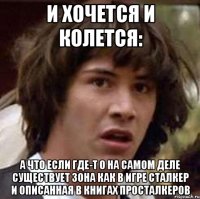 и хочется и колется: а что если где-т о на самом деле существует зона как в игре сталкер и описанная в книгах просталкеров