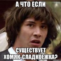 а что если существует хомяк-сладкоежка?