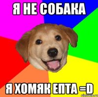 я не собака я хомяк епта =d