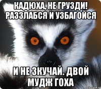 кадюха, не грузди! раззлабся и узбагойся и не зкучай. двой мудж гоха