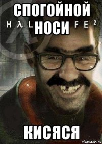 спогойной носи кисяся