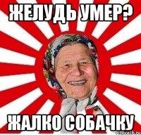 желудь умер? жалко собачку