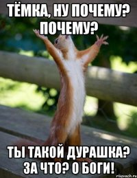 тёмка, ну почему? почему? ты такой дурашка? за что? о боги!