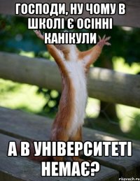 господи, ну чому в школі є осінні канікули а в університеті немає?