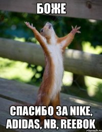 боже спасибо за nike, adidas, nb, reebok