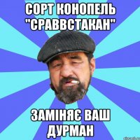 сорт конопель "сраввстакан" заміняє ваш дурман