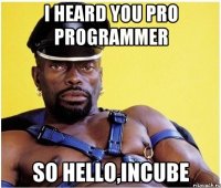 i heard you pro programmer so hello,incube