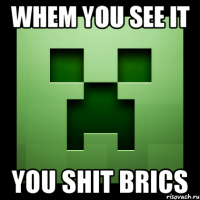 whem you see it you shit brics