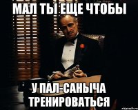 мал ты еще чтобы у пал-саныча тренироваться