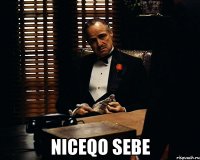  niceqo sebe