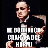 НЕ ВОЛНУЙСЯ, СПАКУХА ВСЕ НОРМ)