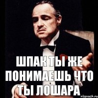 Шпак ты же понимаешь что ты Лошара