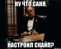 ну что,саня, настроил скайп?