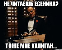 не читаешь есенина? тоже мне хулиган...