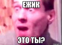 ежик это ты?