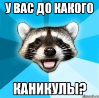 у вас до какого каникулы?