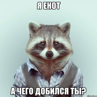 я енот а чего добился ты?